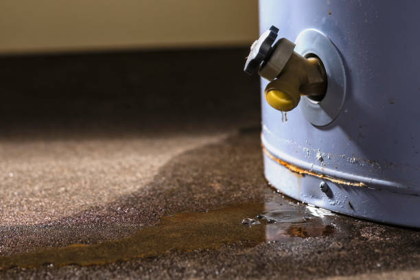 Best Commercial water damage restoration  in Greybull, WY