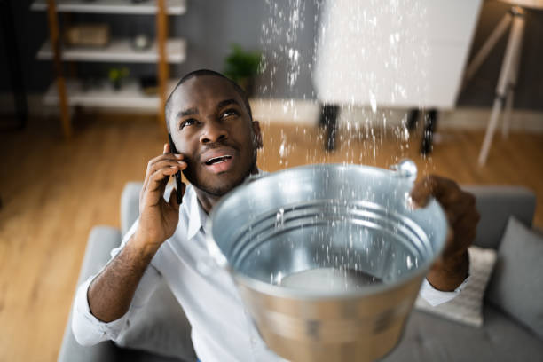 Best Ceiling water damage repair  in Greybull, WY