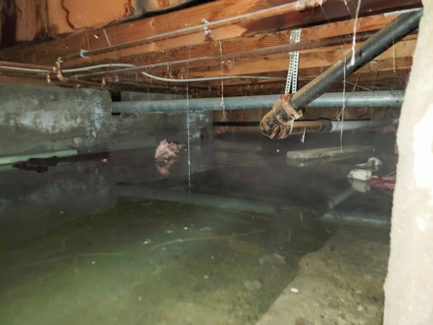  Greybull, WY Water damage restoration Pros