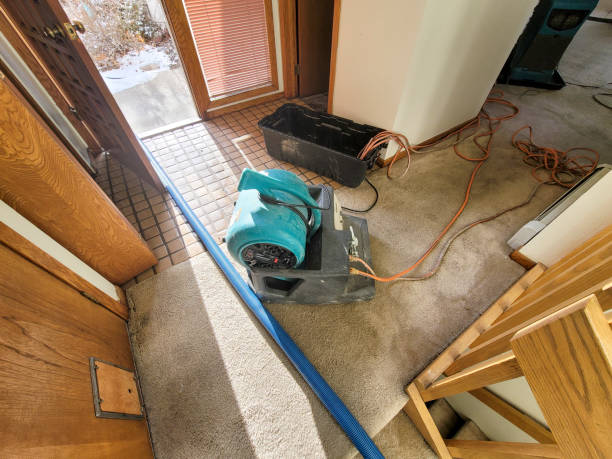 Best Water damage restoration near me  in Greybull, WY