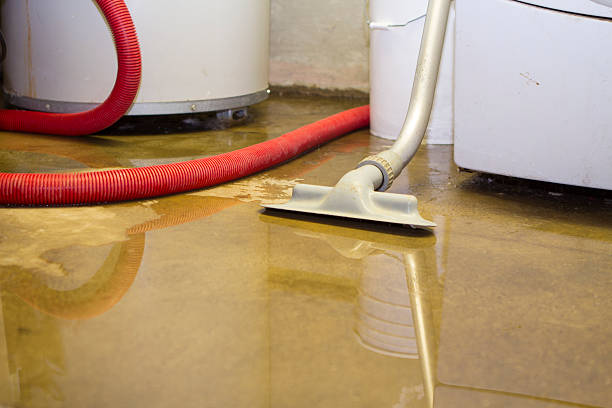 Water damage restoration insurance claims in Greybull, WY